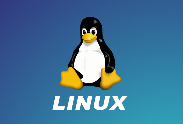 Linux Kernel Driver